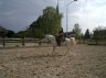 Grand Paso
