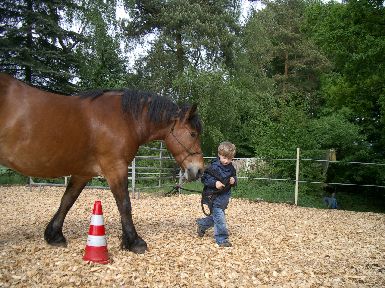 Kinderleichtes Pferdeführen